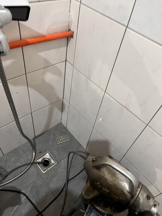 �g���q����