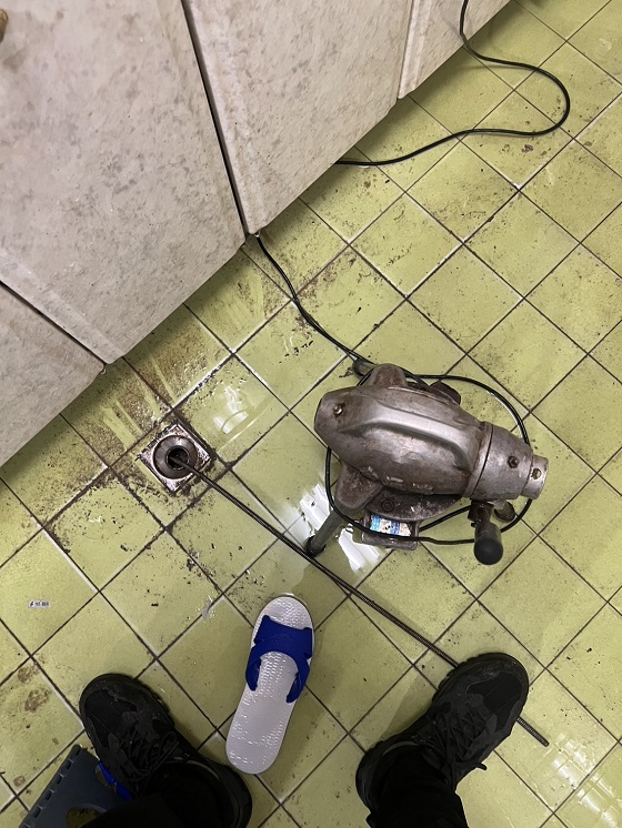 �s���q����
