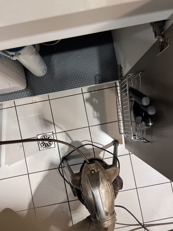�s���q����
